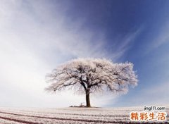 酷一点的网名