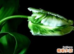 好听的唯美个性昵称