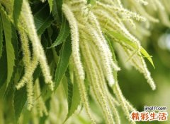 有韵味古风的网名