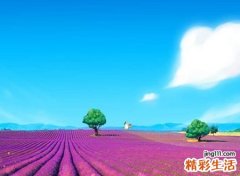 吸引人好的qq名字