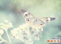 经典好听的网名