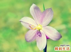 让人心静的网名