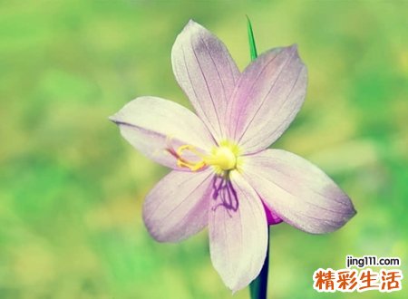 让人心静的网名