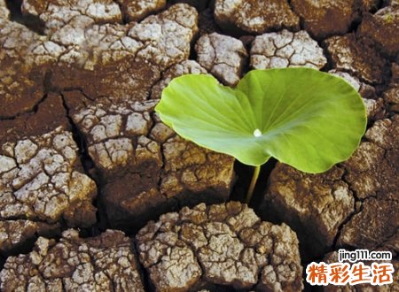 吸引人的炫酷昵称