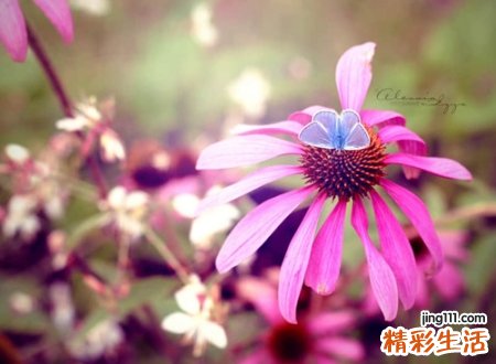 最新吸引人的微信网名