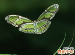 比较伤感的网名