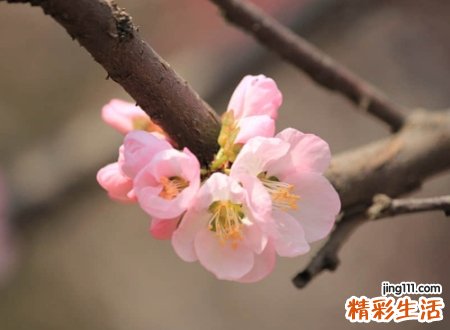 好听的三个字快手网名