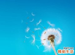 比较可爱的抖音名字
