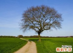 2021最简单的网名