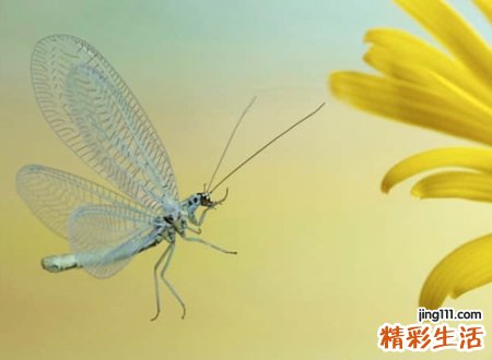 霸气十足的网名
