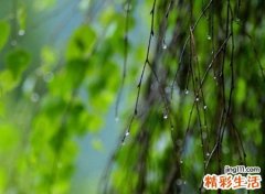 古风诗意高冷的四字网名