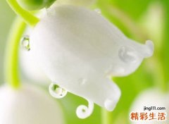 简单干净的微信昵称