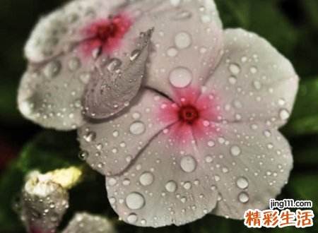 好听的一字名字