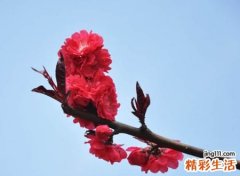 霸气高冷的网名