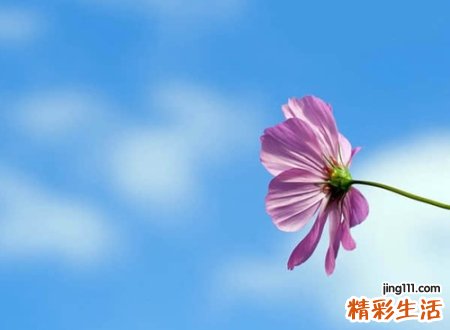 好听的三字微信昵称