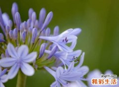 好听的直播网名