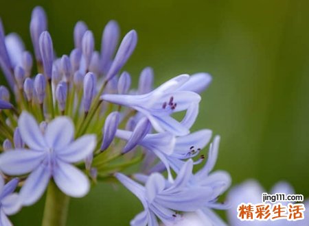 好听的直播网名