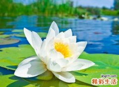 简约而不简单的2个字网名