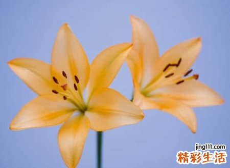 好听带符号昵称
