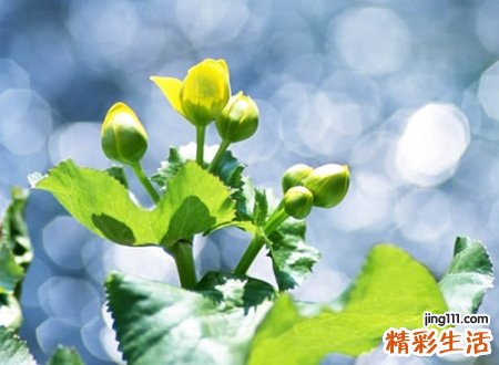 有内涵的昵称微信版