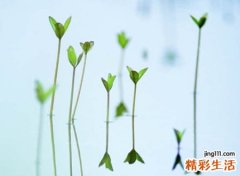 好听简单的微信网名