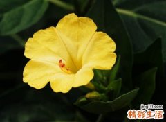 好听的一个字名字微信版