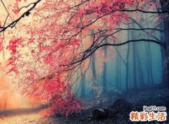 好昵称大全