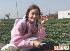 小清新的女生两字网名