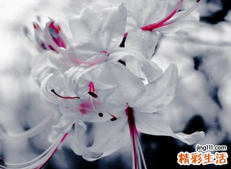 有意义网名