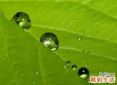 好听的用户名小清新版