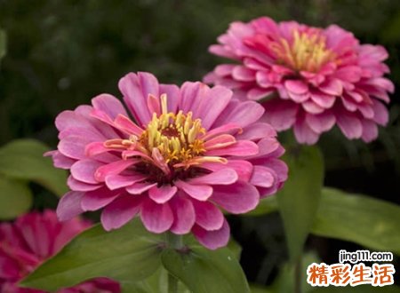 有个性的qq经典昵称