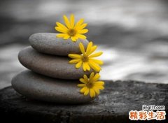 非主流网名带特殊符号