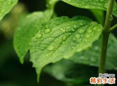 有意义的抖音昵称