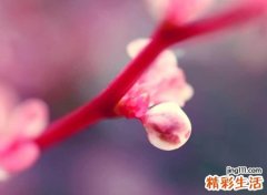 好看的微信昵称