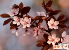 好看的符号名字微信版