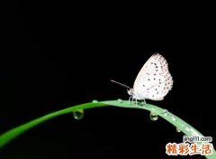 追求梦想的网名