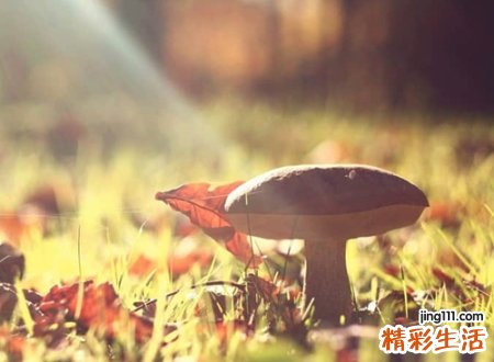 搞笑的英文名字