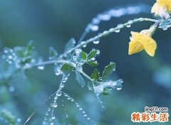 高冷成熟一点的两个字网名