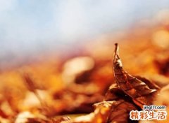 网名大全霸气版