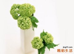 微信网名简单又有内涵