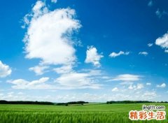 阳光一点的网名