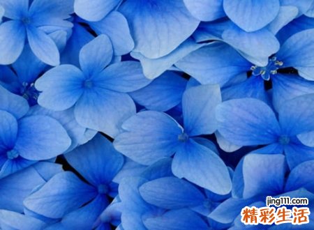 分手的网名