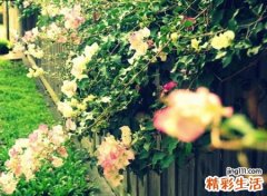 三个字的游戏名字古风版