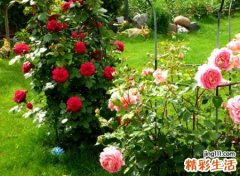 两个字qq个性名字