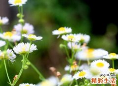 两个字文艺网名