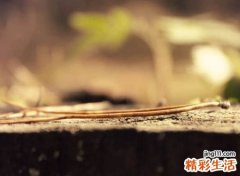 有诗意古风的2个字网名