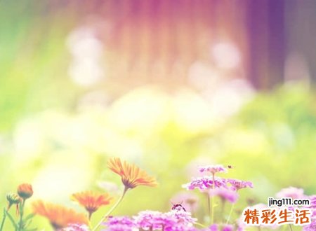 微信简单网名