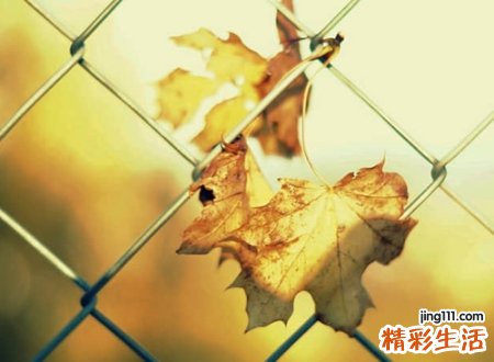 佛系的网名