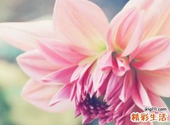 吸引人涨粉的网红昵称