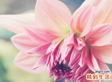 吸引人涨粉的网红昵称